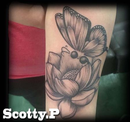 Scotty Parker - A butterfly on a Lotus flower 